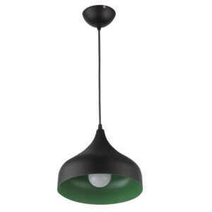 LEARC Designer Lighting black green Metal Pendent Single HL3933-1