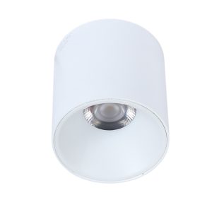 LEARC ANTI GLARE ALUMINIUM WHITE BODY,  WHITE REFLECTOR, 12 WATT COLOUR CHANGING 3 IN 1 CEILING CYLINDER TR1931-3C