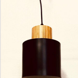 LEARC Designer Lighting Modern Pendent HL8093-1